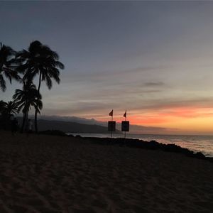 Meet your Posher, Shane